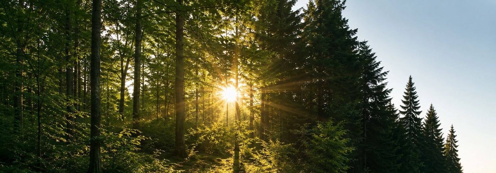 Support Sustainability with Us